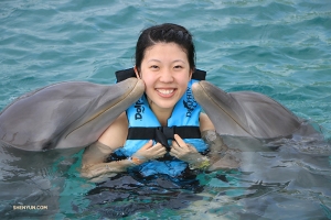 Новые друзья в Dolphin Cove.